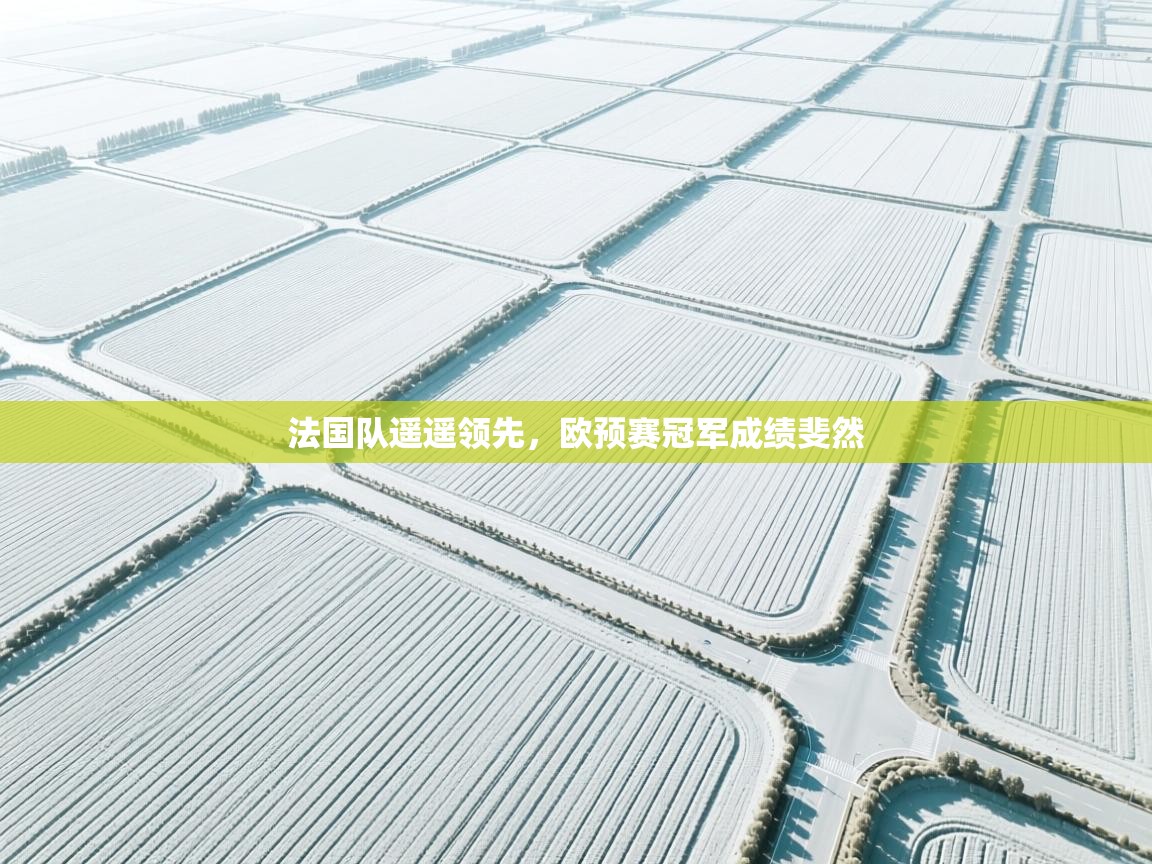 法国队遥遥领先，欧预赛冠军成绩斐然