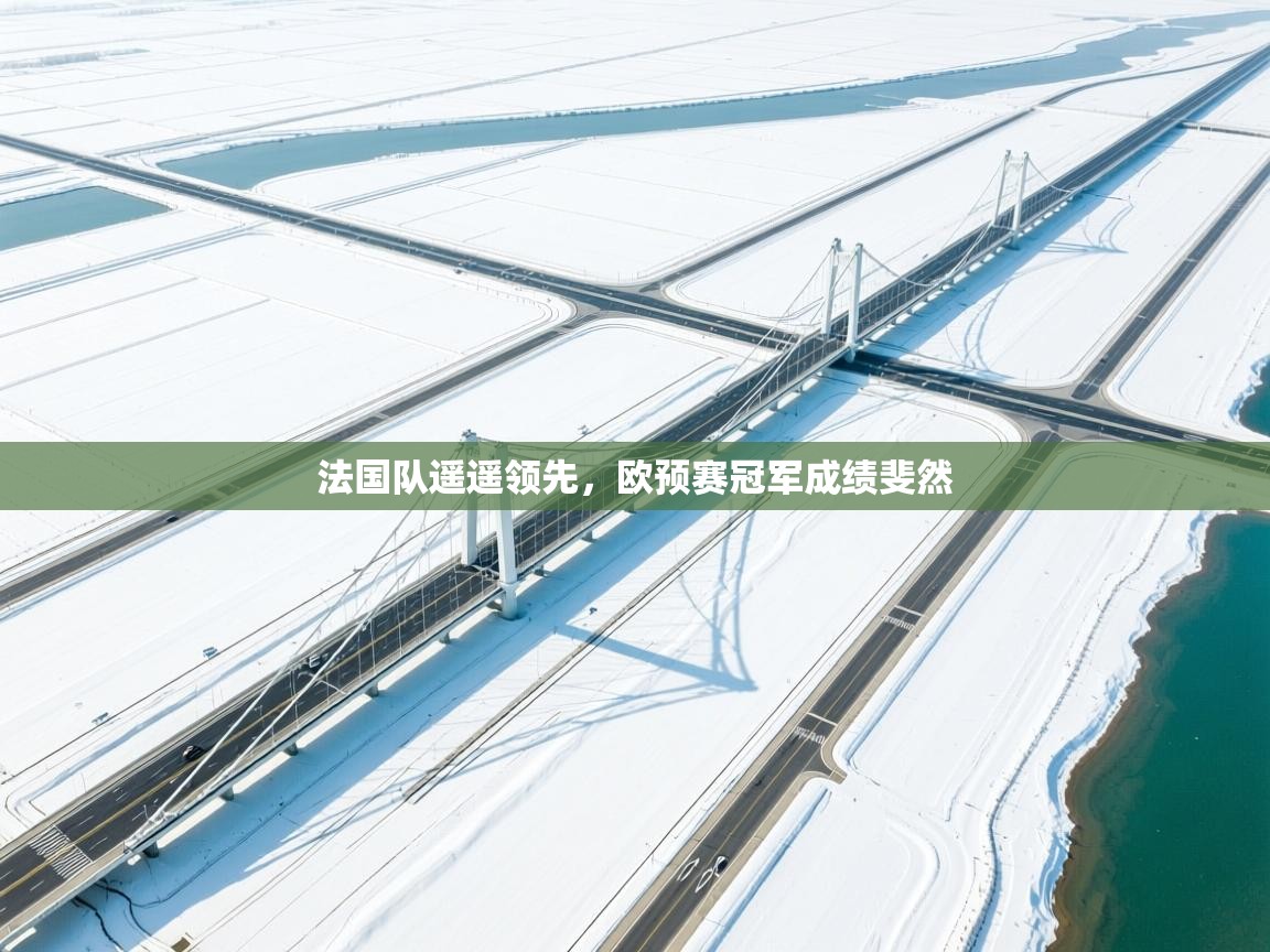 法国队遥遥领先,欧预赛冠军成绩斐然 第2张